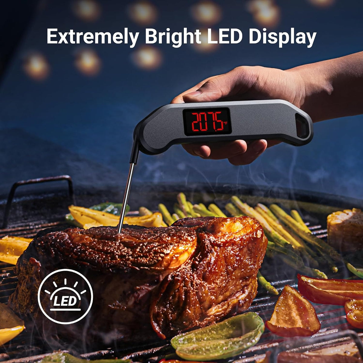 1 Sec Meat Thermometer